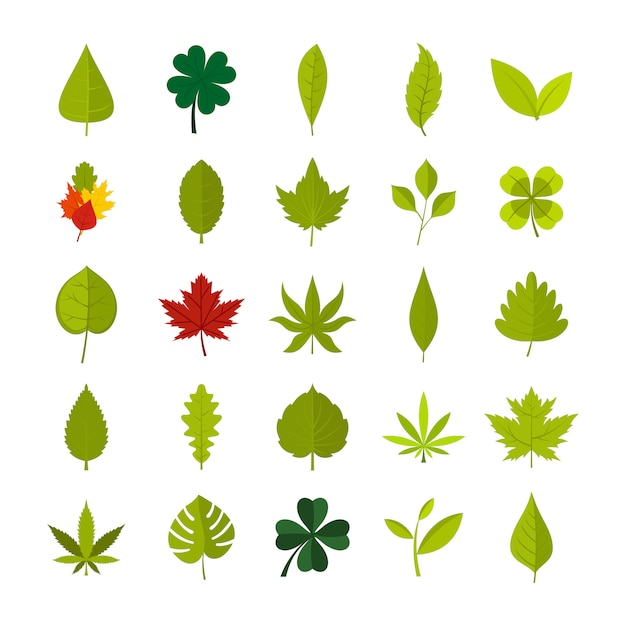 Leaf icon set. Flat set of leaf vector icons collection isolated