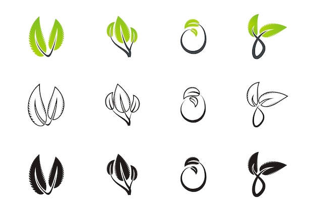 leaf  icon set