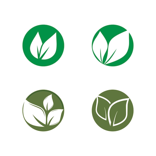 Leaf icon Vector Illustration design Logo template