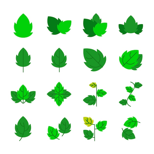 leaf icons 