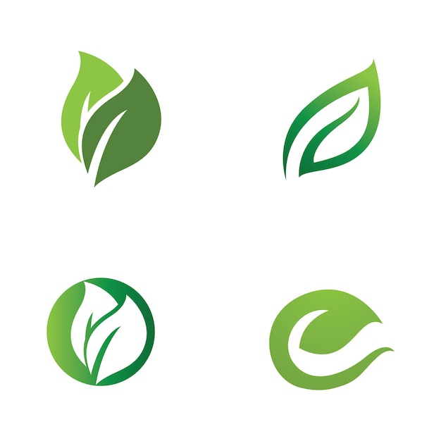 Leaf leaves logo green vector  image