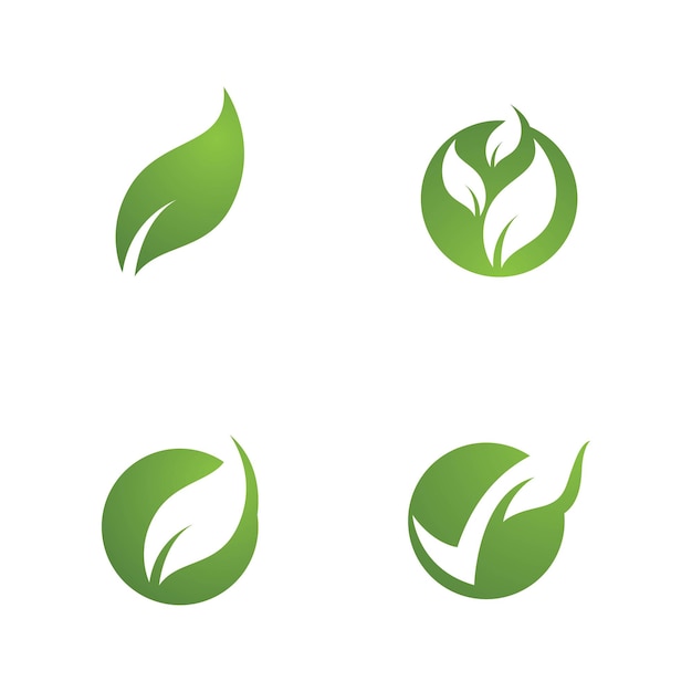 Leaf leaves logo green vector  image