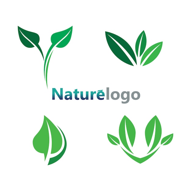 Leaf logo design vector for nature symbol template editableGreen leaf logo ecology nature element vector icon