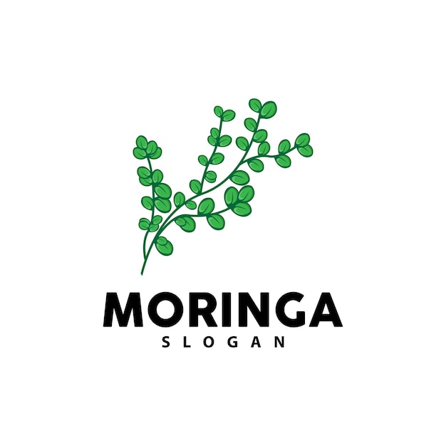 Leaf Logo Eco Green Plant Vector Green Earth Care Recycling Design Moringa Leaf Logo Icon Template Illustration