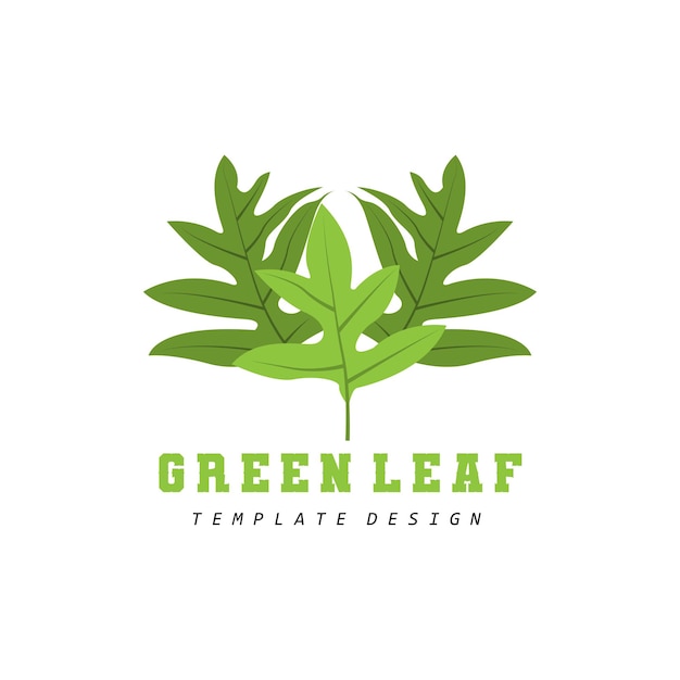 Leaf Logo Green Plant Design Leaves Of Trees Product Brand Template Illustration