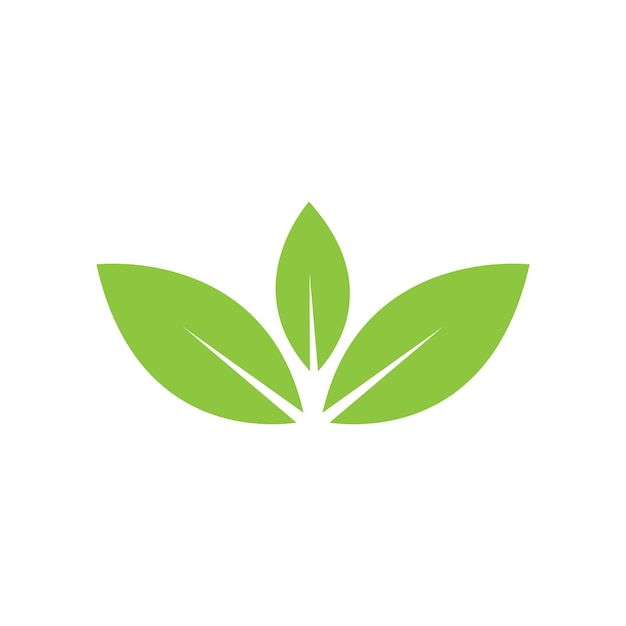 Leaf logo icon vector design template