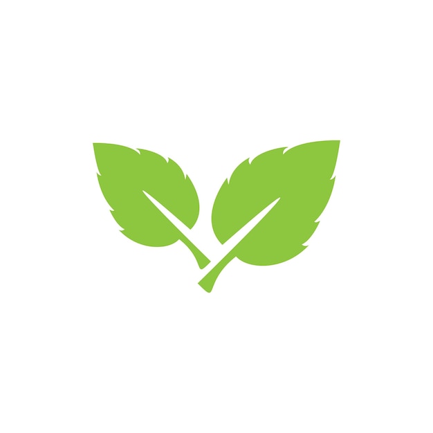 Leaf logo icon vector design template