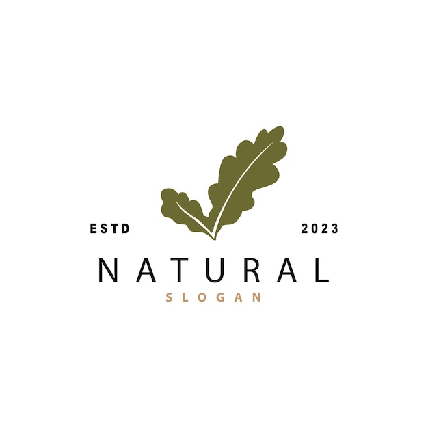 Leaf Logo Oak Leaf Logo Design Minimalist Natural Plant Tree Vector Illustration Template