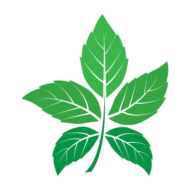 leaf logo vector