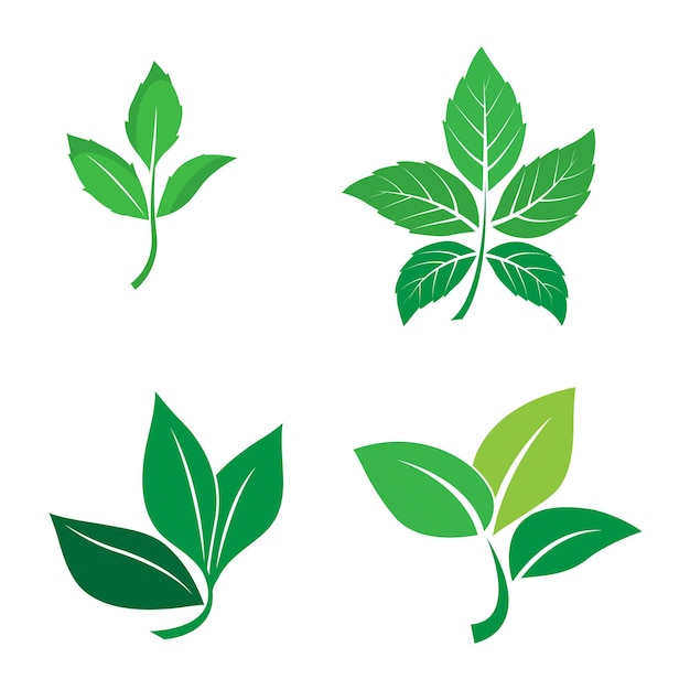 leaf logo vector