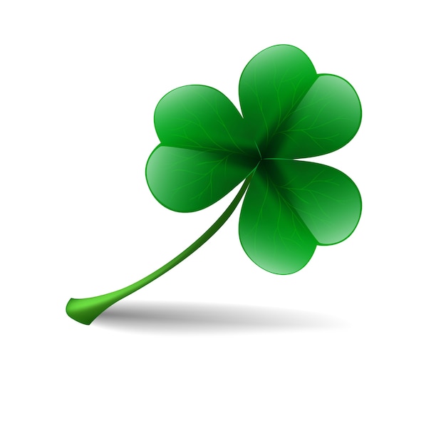 leaf lucky clover isolated on white background