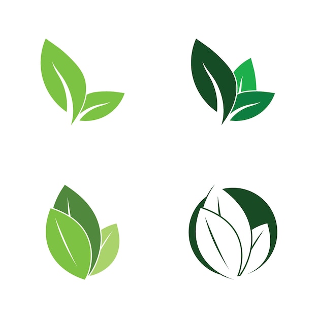 Leaf nature ecology icon vector illustration template design