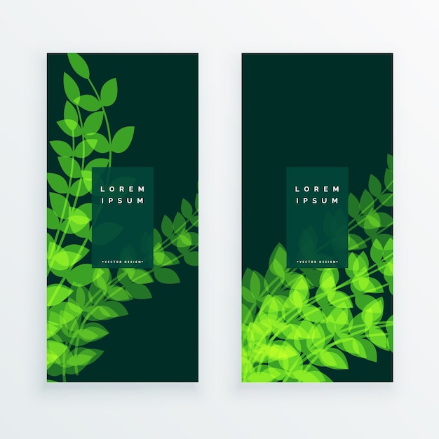 Vector leaf nature verticle banner card