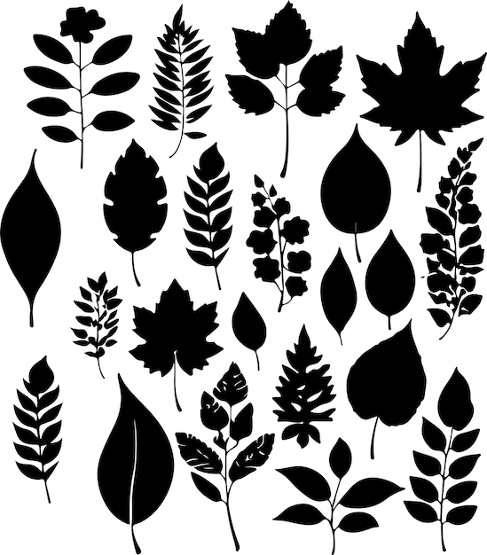 Vector leaf silhouette set hand drawn with leaves and flowers on white background