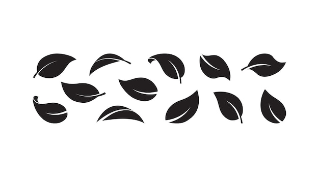 Leaf vector icon black plant set simple foliage different shapes Nature illustration