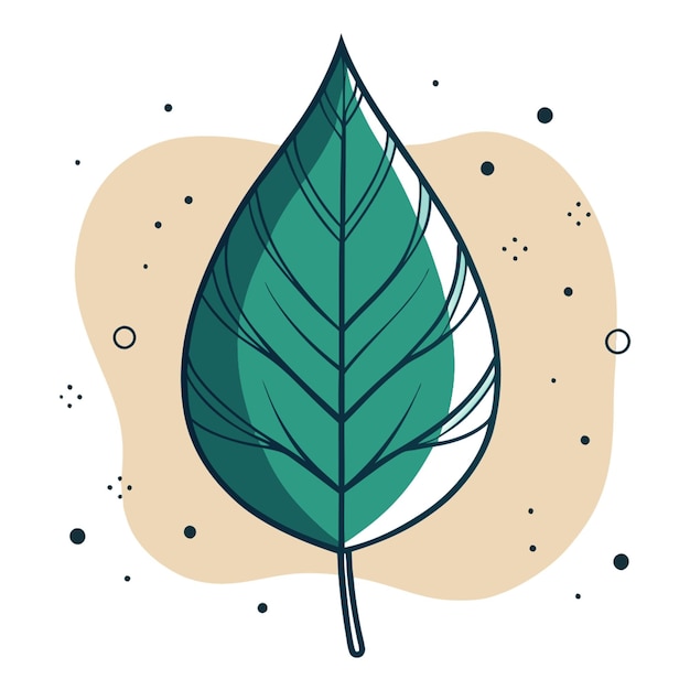 Vector leaf vector illustration