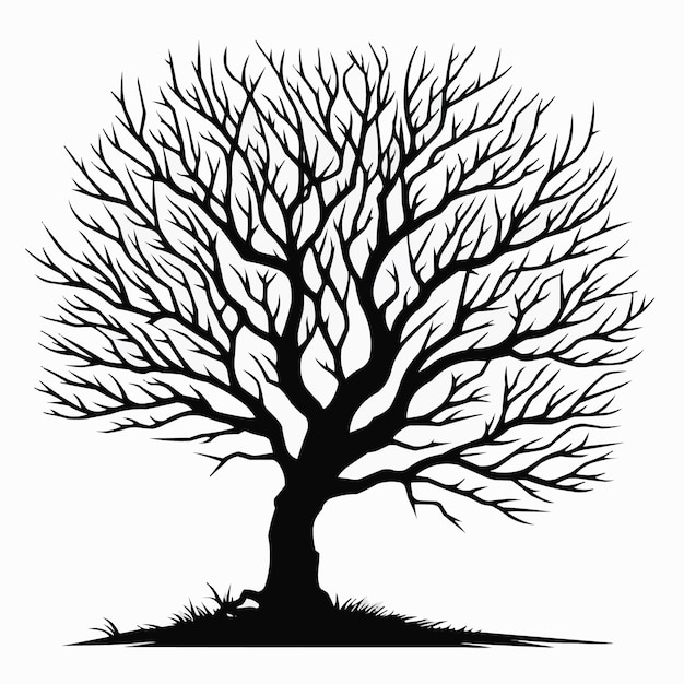 Leafless trees silhouette background nature illustration in black vector