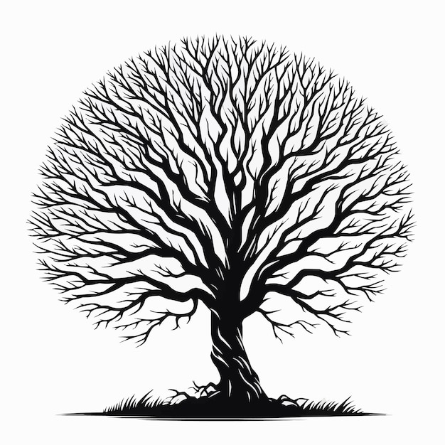 Leafless trees silhouette background nature illustration in black vector