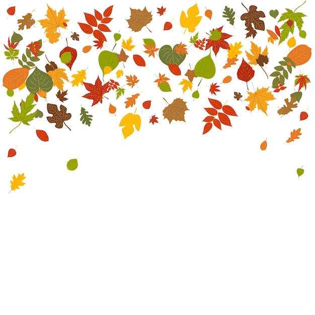 Leaves autumn background in flat design isolated vector