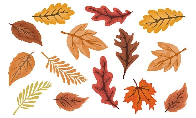 leaves for autumn event illustration vector