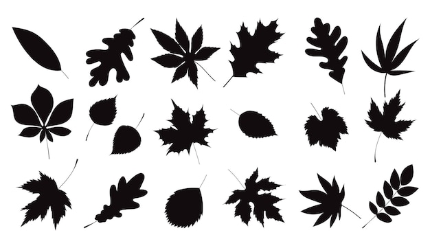 Leaves autumn set isolated Vectors Silhouettes