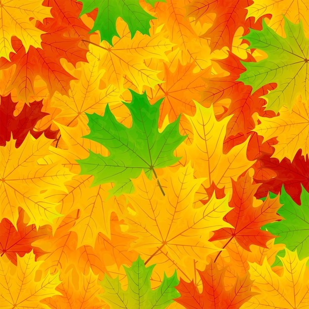 Leaves background