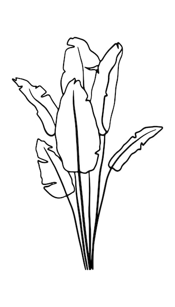 Leaves banana tropical palm One Line Drawing. Continuous Line of Simple Flower Illustration.