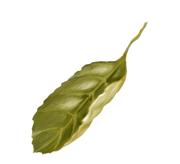 Leaves on a branch. Green leaves. Digital illustration.