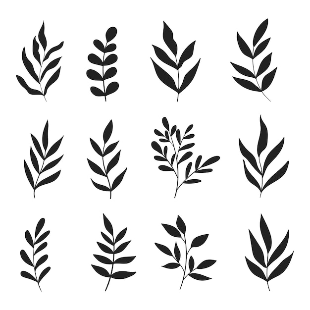 Leaves and branches silhouettes set wild plants and garden leaves silhouettes on white background