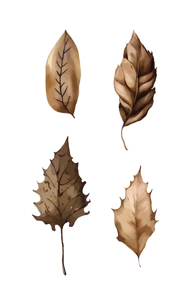 Leaves clipart isolated vector illustration