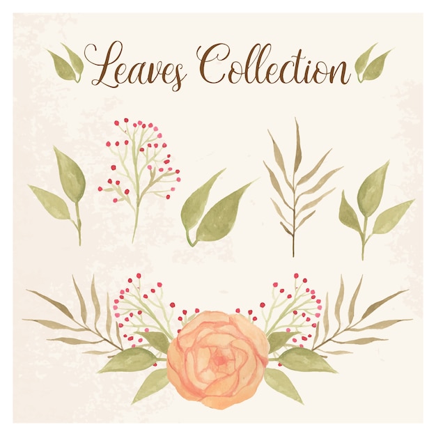 Leaves collection with peony and berries