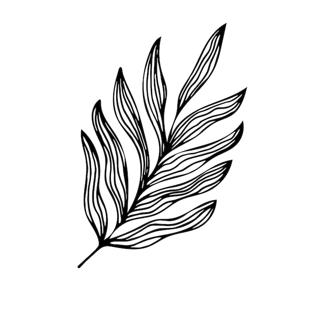 Leaves in doodle style Vector illustration Hand drawn line art leaves on white background