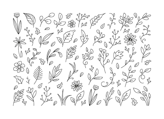 Vector leaves floral doodle set botanical leaf element hand drawn leaf and floral icon collection