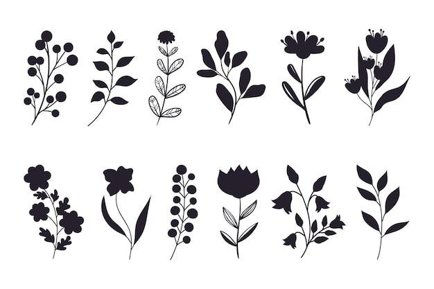 Leaves flowers and branches silhouettes set wild plants and garden flowers silhouettes on white