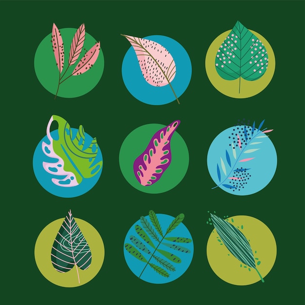 Leaves foliage decoration round style icons set illustration