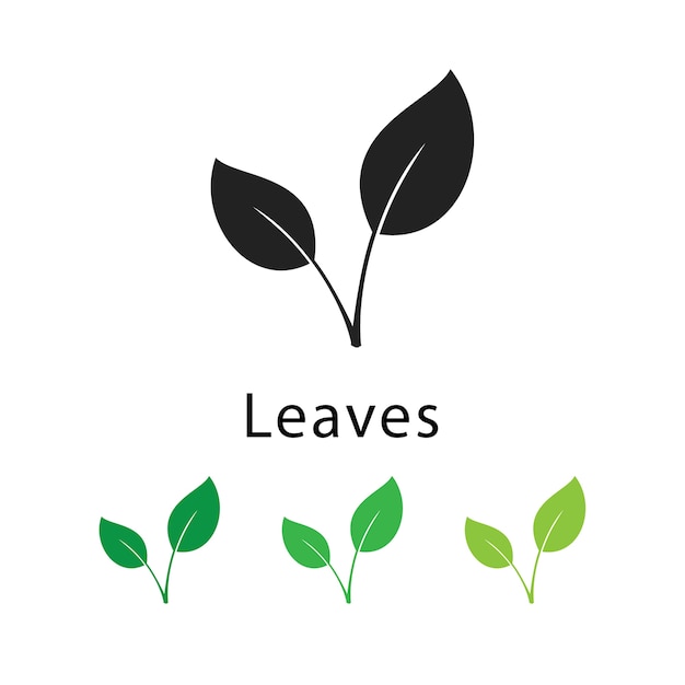 Leaves icon ornament set