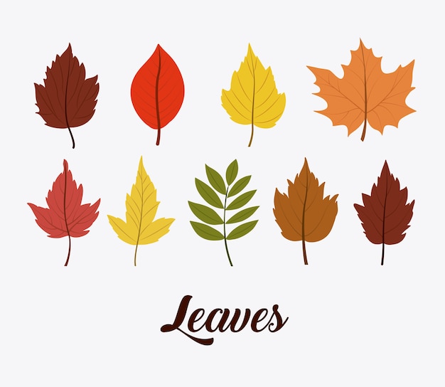 Leaves icon