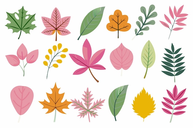 Vector leaves illustration on white background