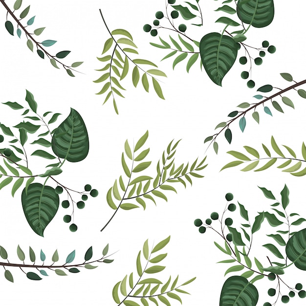 Leaves nature background