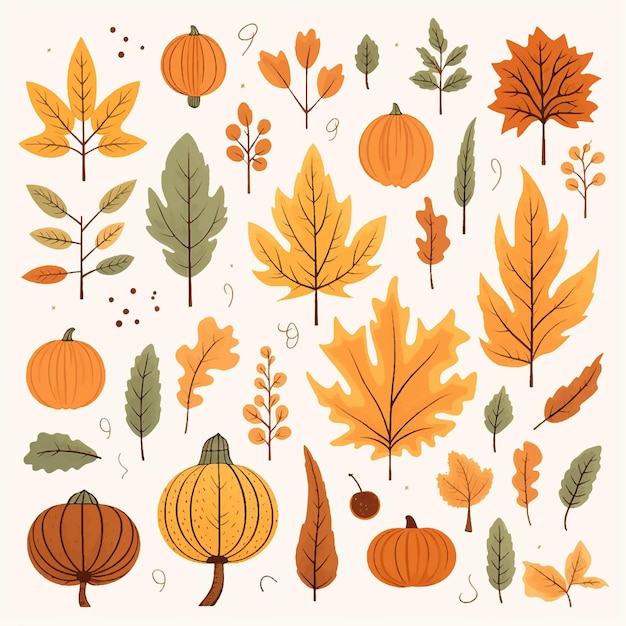 leaves nature forest illustration plant vector tree set design seasonal autumn graphic branch fall