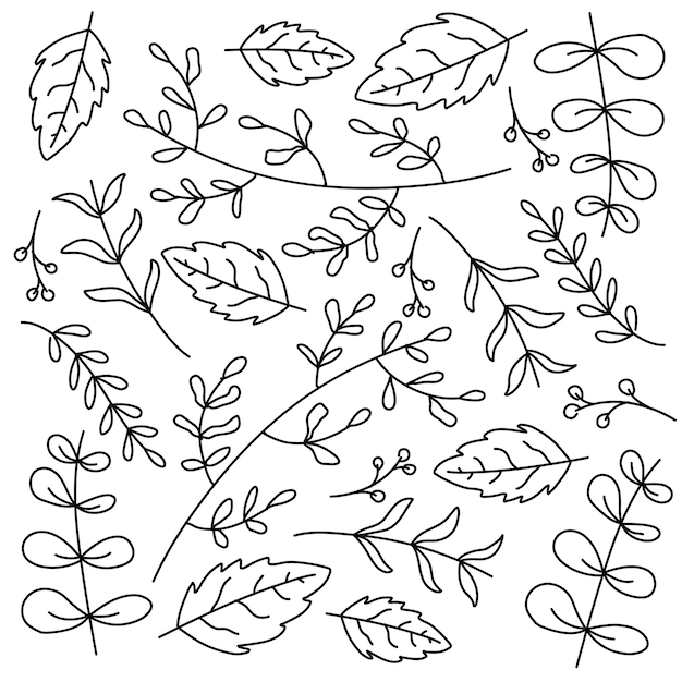 Leaves plant set with doodle line style vector design