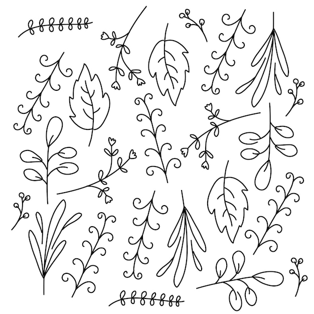 Leaves plant set with doodle line style vector design