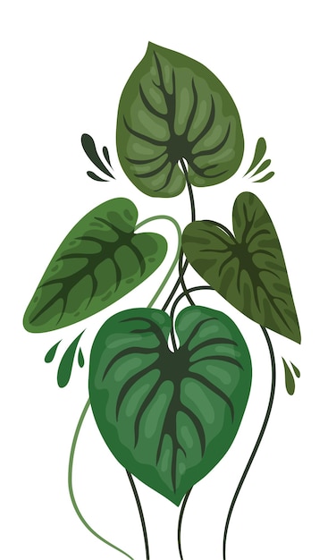 leaves plants illustration vector design