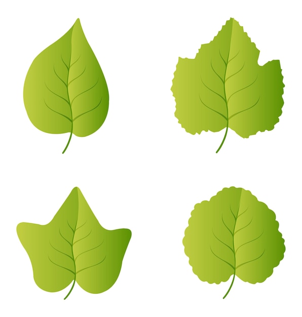 Leaves set, isolated on white background.