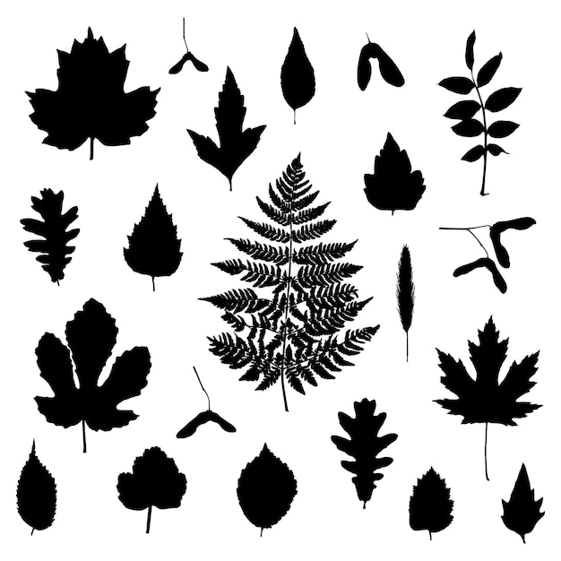 Leaves silhouettes set isolated on white background vector