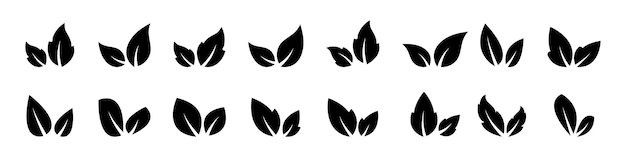 Leaves vector icons Leaves foliage icon collection Leaf vector icon set Vector graphic