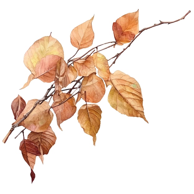 leaves watercolor illustration