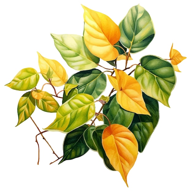 leaves watercolor illustration