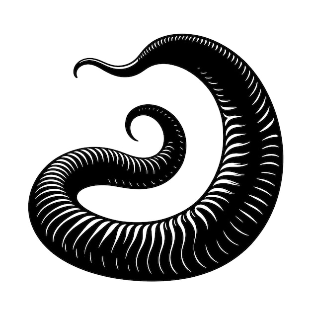 Leech silhouette vector illustration