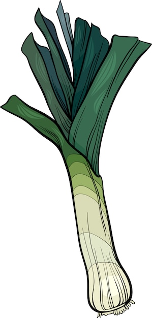 leek vegetable cartoon illustration